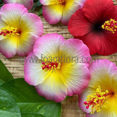 Hibicus hair clip with flower