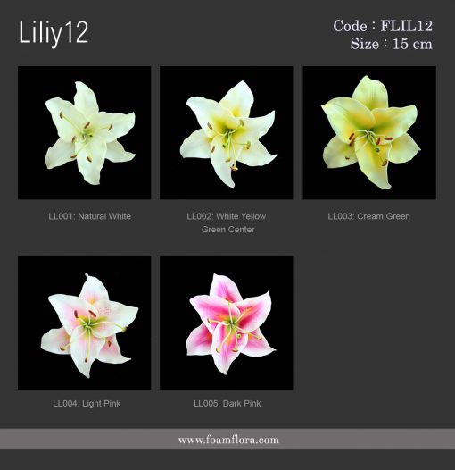FLILY12: LILY12 (15 CM) - Image 2