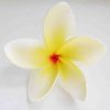 FPLU65: PLUMERIA65 (9 CM)
