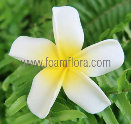 Plumeria hair clip with flower