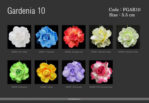 Gardenia10 1024x706 1