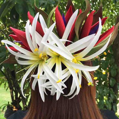 HAIR CLIP 47 H008-FSPL3-SET2