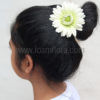 FGER1: DAISY/GERBERA (10 CM) - Image 4