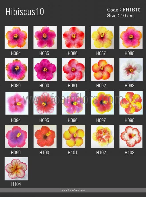 Hibiscus10 changeColorCode