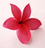 FPLU82LN:  PLUMERIA82LN ISABELLA (14 CM) - 89