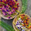 FBIR2: MINI BIRD OF PARADISE (6*8 CM) - Image 7
