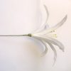FSPL3: SPIDER LILY3 (12.5 CM) - Image 3