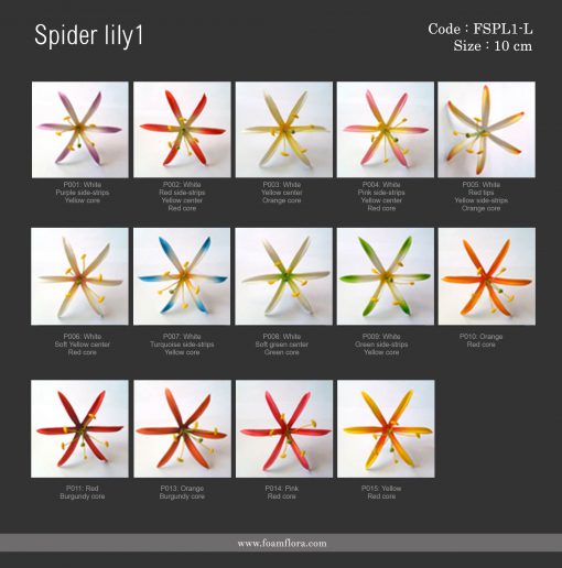 Spiderlily1 chart1