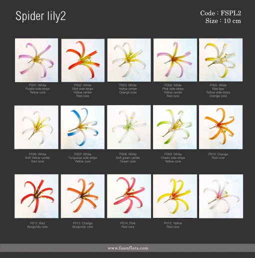 Spiderlily2 chart1