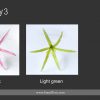 FSPL3: SPIDER LILY3 (12.5 CM) - Image 4