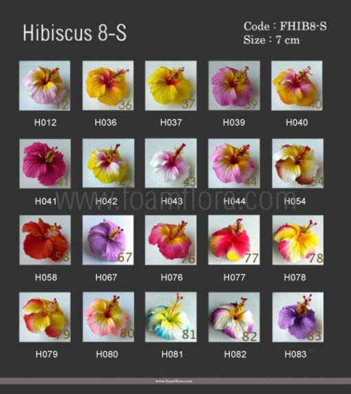 color chart hib8 s