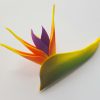 FBIR2: MINI BIRD OF PARADISE (6*8 CM)