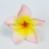 FPLU45: PLUMERIA45 (5 AND 6 CM)