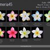FPLU45: PLUMERIA45 (5 AND 6 CM) - Image 2