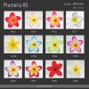 FPLU65: PLUMERIA65 (9 CM) - Image 2