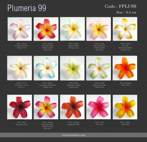 FPLU99: PLUMERIA99 (8.5 CM) - Image 4