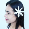 FTIA38 : TIARE38 (10 CM) - Image 3