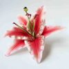 FLILY13: LILY13 (15 CM) - Image 2