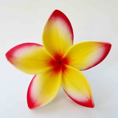 FPLU102NI : PLUMERIA102NI (7.5CM) - 04