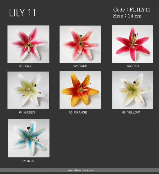 lily11 1