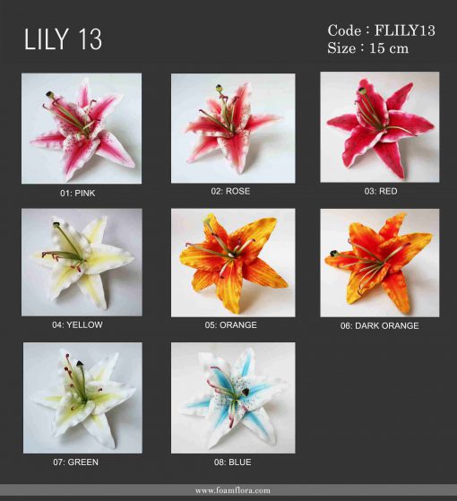 lily13 1