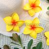 Plumeria hair clip with flower