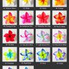 FPLU126: PLUMERIA126 (10.5CM) - Image 9