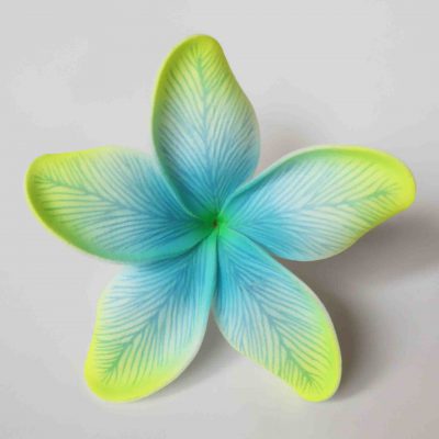 FPLU122SC: PLUMERIA122SC  (11CM) - SC03