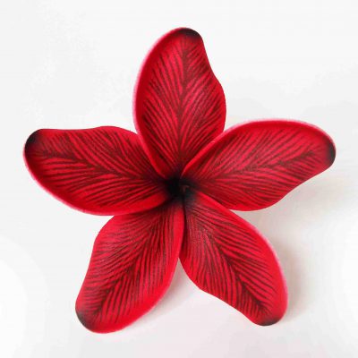 FPLU122SC: PLUMERIA122SC  (11CM) - SC07