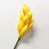 FGIN2: GINGER2 (4*8 CM)