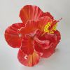 FHIB24: HIBISCUS24(12.5 cm)