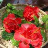 Hibicus hair clip with flower