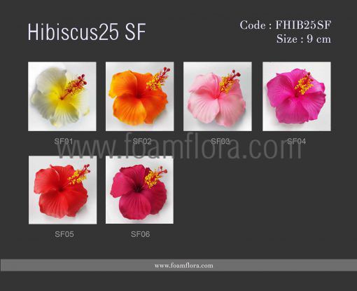 fhib25 hibiscus25 e1561706214694