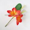 PLUMERIA43 FLOWER SET