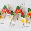 PLUMERIA43 FLOWER SET - Image 3