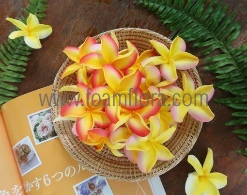 Plumeria hair clip with flower