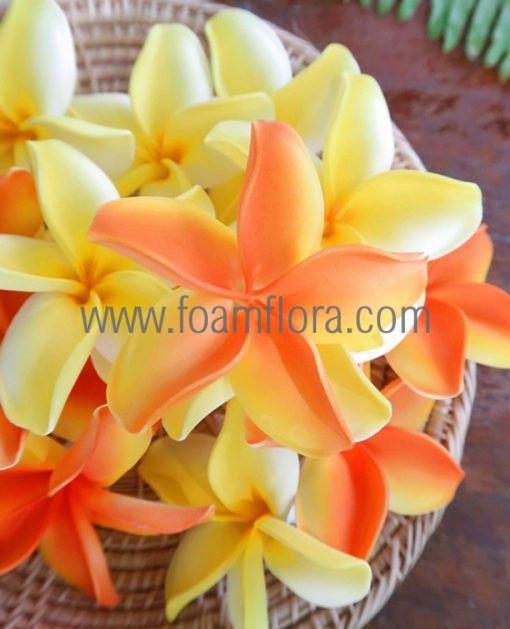 Plumeria hair clip with flower