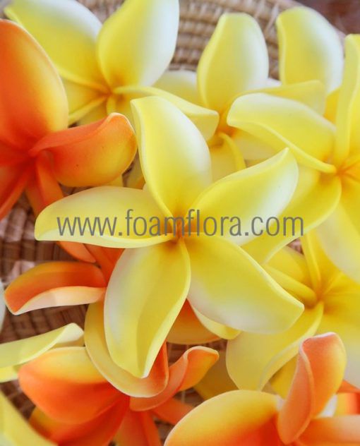 Plumeria hair clip hula flower with