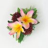 H008-FPLU19-SET20