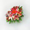 H008-FPLU201-SET2