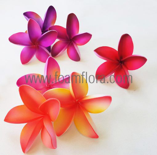 FPLU201: PLUMERIA201 (7 CM) - Image 3