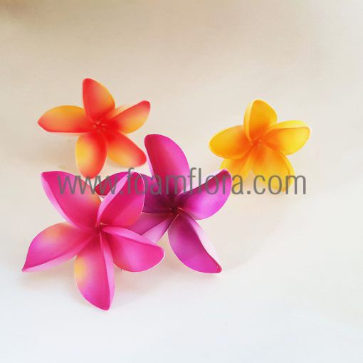 FPLU201: PLUMERIA201 (7 CM) - Image 4