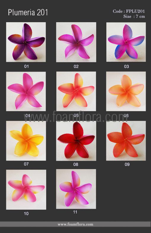 FPLU201: PLUMERIA201 (7 CM) - Image 2