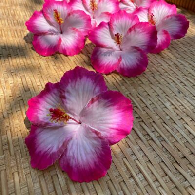 Hibicus hair clip with flower