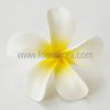 FPLU127 : PLUMERIA127 (9.5CM) - Image 2