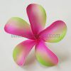 FPLU127 : PLUMERIA127 (9.5CM) - Image 3