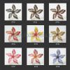 FPLU205ST : PLUMERIA205ST (11 CM) - Image 2