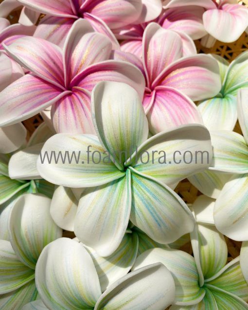 FPLU99BLG : PLUMERIA99BLG (8.5 CM)