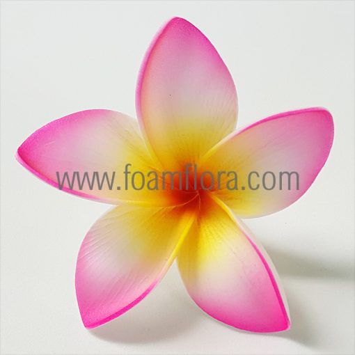 FPLU130 : PLUMERIA130 (8 CM)