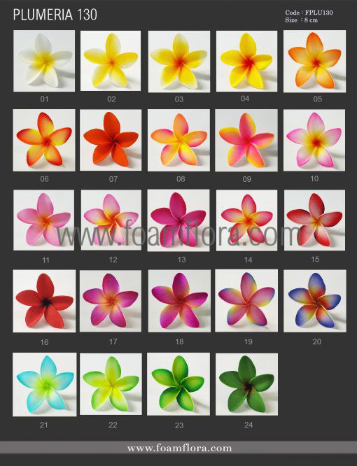 FPLU130 : PLUMERIA130 (8 CM) - Image 6